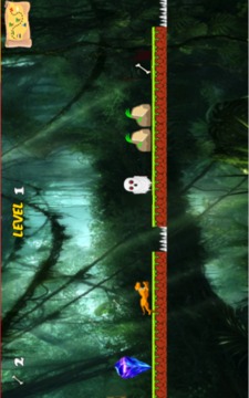 Scooby Jungle Dog游戏截图5