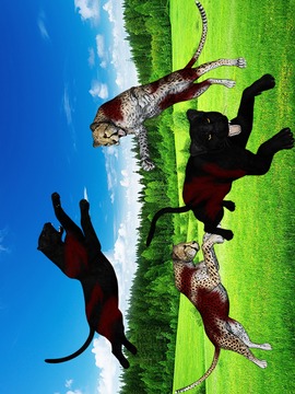 Cheetah Panther Safari Hunting游戏截图5