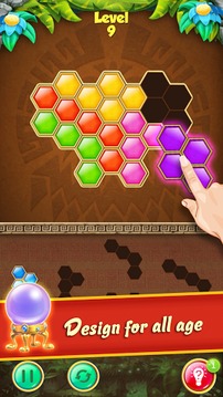 Hexa Block Puzzle Jewel游戏截图4
