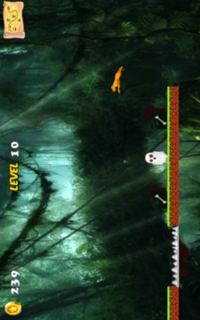 Scooby Jungle Dog游戏截图2