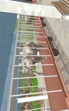 Animal Cargo Train Simulator游戏截图2