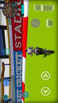 Bike Cricket 3D游戏截图2