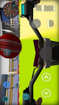 Bike Cricket 3D游戏截图1