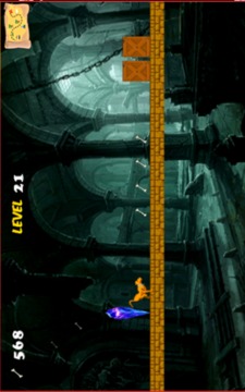 Scooby Dog Temple游戏截图5