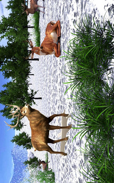野生动物园野鹿狩猎游戏截图5