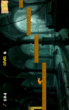 Scooby Dog Temple游戏截图2