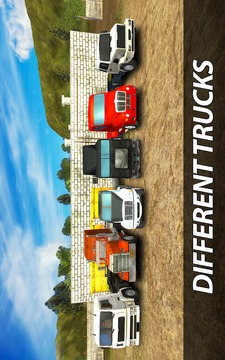 American Trucks Offroad游戏截图2