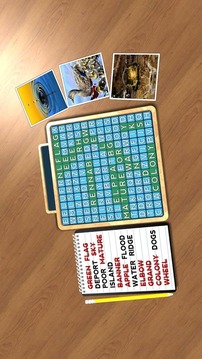 Wordsearch Revealer Splash游戏截图3