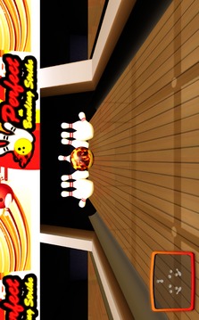 Perfect Strike Bowling游戏截图2