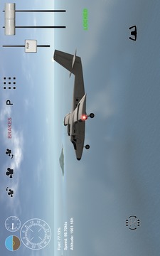 Island Bush Pilot 3D游戏截图2