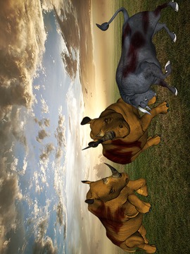 Rhino Buffalo Safari Fight游戏截图4