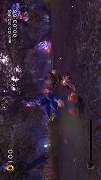 Sonic Family Adventures游戏截图3
