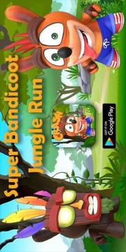Super Bandicoot Jungle Run游戏截图4