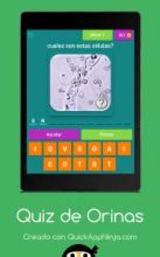 Quiz de Orinas游戏截图5