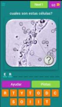 Quiz de Orinas游戏截图1