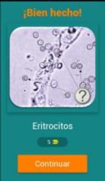 Quiz de Orinas游戏截图2