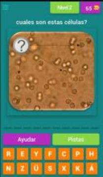 Quiz de Orinas游戏截图3