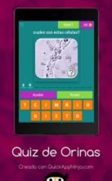 Quiz de Orinas游戏截图4