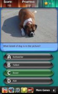 Dog Breeds Quiz HD游戏截图3