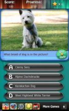 Dog Breeds Quiz HD游戏截图1