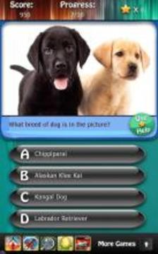 Dog Breeds Quiz HD游戏截图2