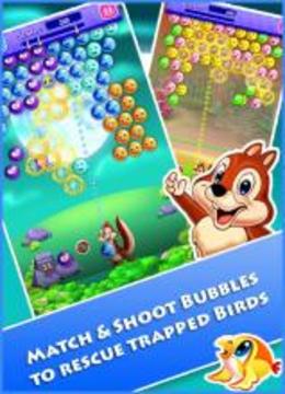 Birds Rescue Bubble Shooter游戏截图1