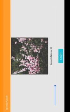 Spring Jigsaw Puzzle游戏截图2