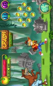 Super Bandicoot Jungle游戏截图2