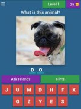 Animals Quiz Game游戏截图4