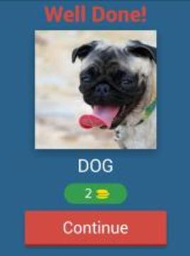 Animals Quiz Game游戏截图5