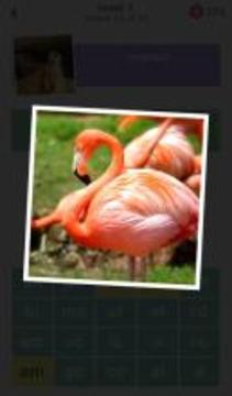 2 Clues: Words and Syllables游戏截图3