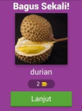 Tebak Nama Buah Buahan游戏截图5