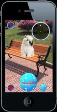 Pocket Puppy Pet Go!游戏截图3