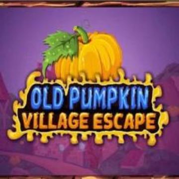 Old Pumpkin Village Escape游戏截图1