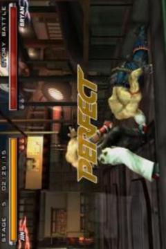 Pro Tekken 5 Hint游戏截图3