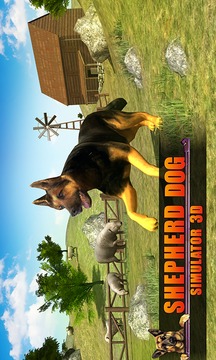 Shepherd Dog Simulator 3D游戏截图1