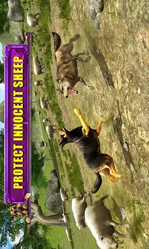 Shepherd Dog Simulator 3D游戏截图4