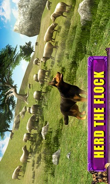 Shepherd Dog Simulator 3D游戏截图2