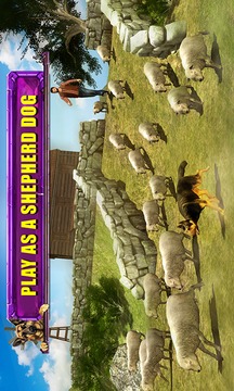 Shepherd Dog Simulator 3D游戏截图5