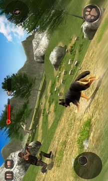 Shepherd Dog Simulator 3D游戏截图3