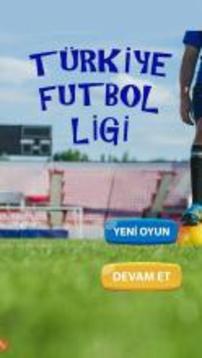 Türkiye Futbol Ligi游戏截图1