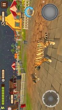 Tiger Rampage Simulator 3D游戏截图4