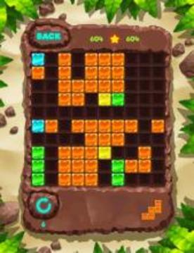 Block Puzzle Fauna 块拼图经典：动物游戏截图3