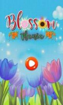 BLOSSOM FLOWER MANIA游戏截图3