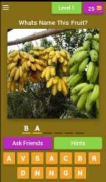 Guess The Fruits游戏截图1