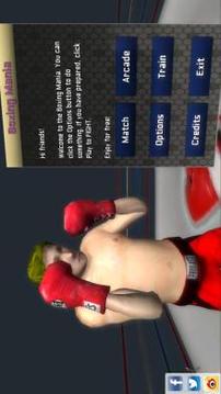 Boxing Mania游戏截图1