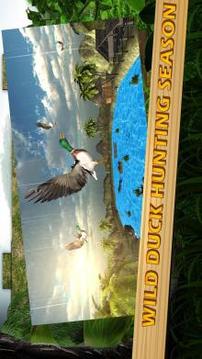 Duck Hunting 3D Adventure Season游戏截图1