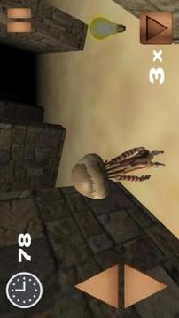 Maze: Escape Old Fortress游戏截图1