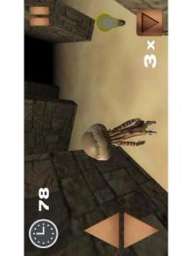 Maze: Escape Old Fortress游戏截图5