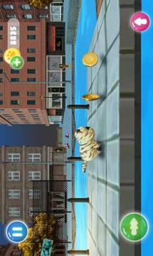 Cat Run Simulator游戏截图1